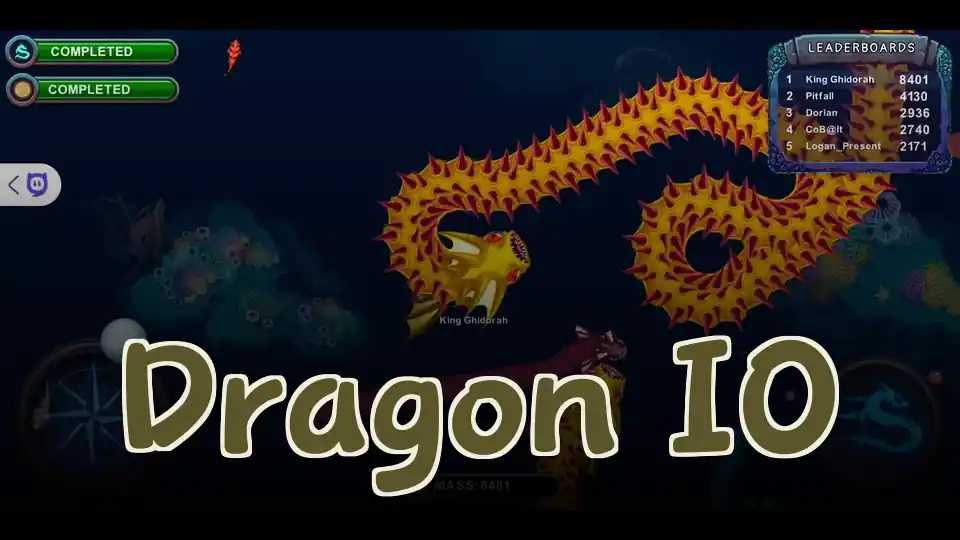 Dragon IO