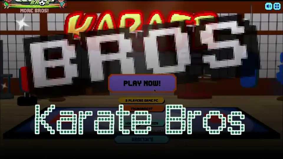 Karate Bros