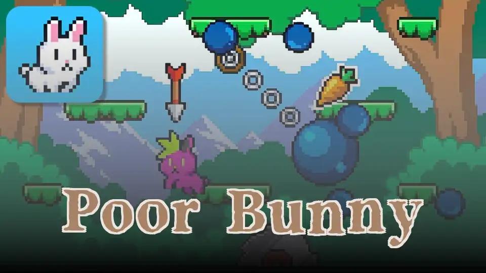 Poor Bunny
