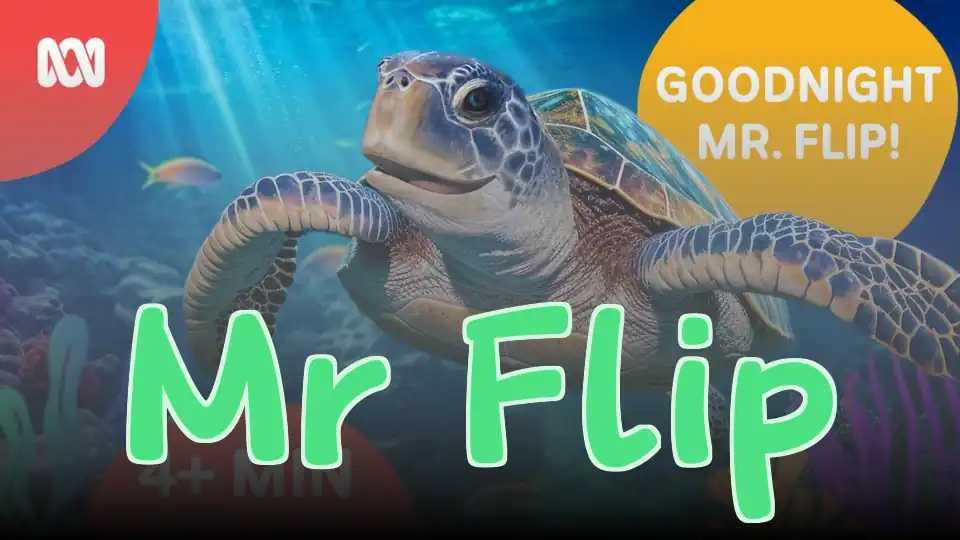 Mr Flip